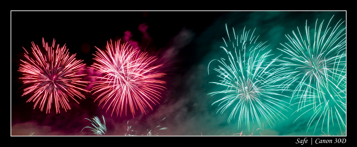 2008 - 07 - Feux de Chantilly - 063